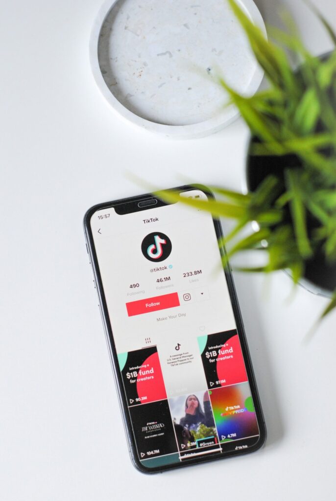 TikTok reklamos strategijos